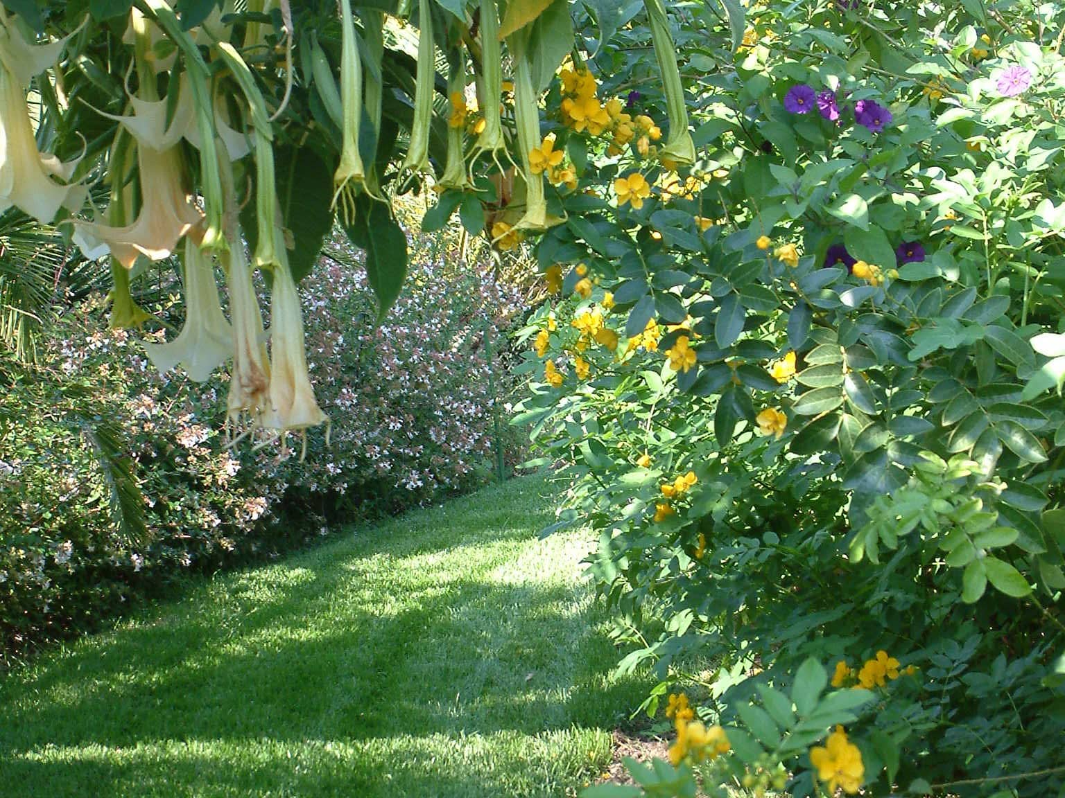Ambiance jardin (26)