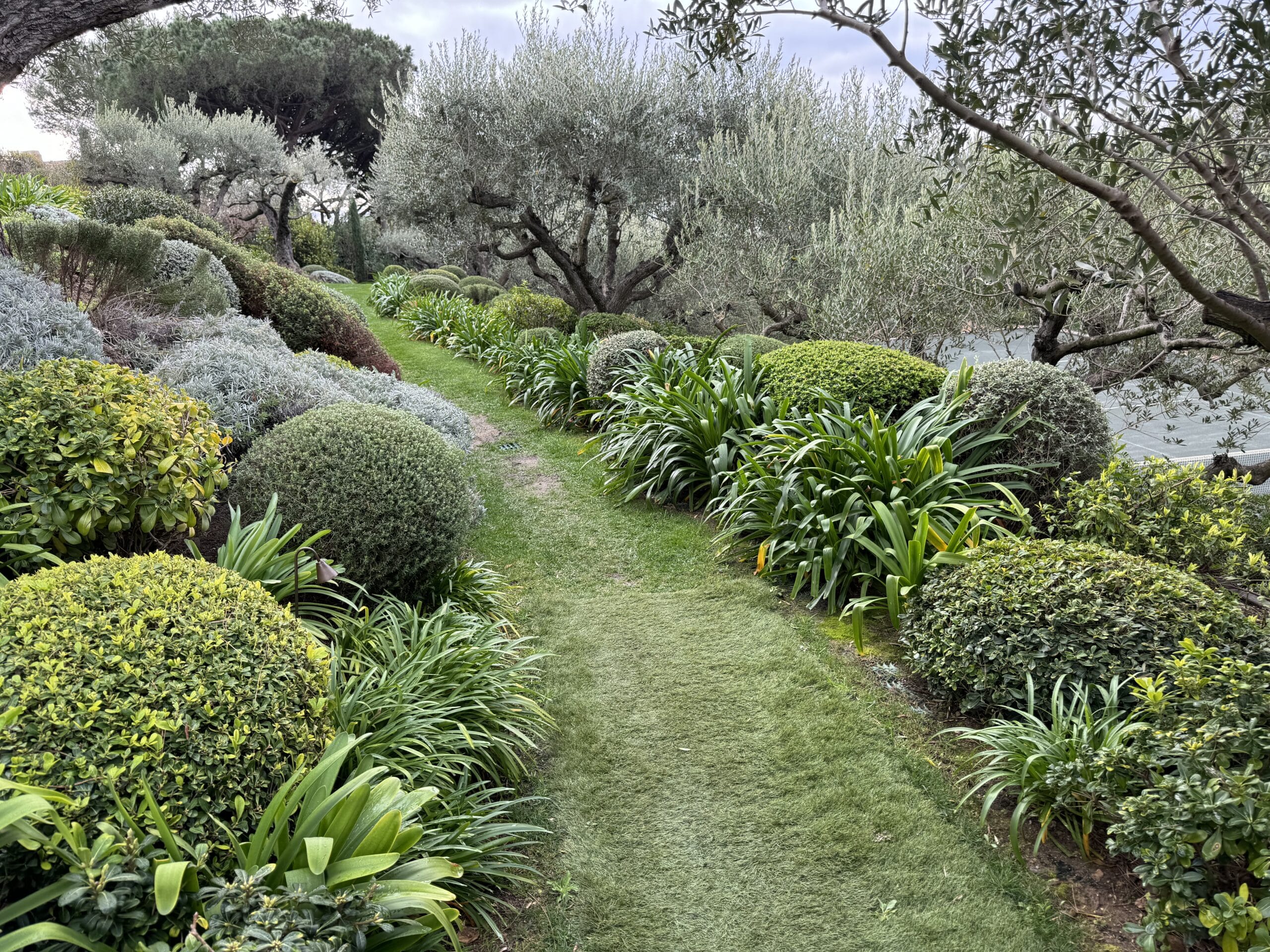 Ambiance jardin (50)
