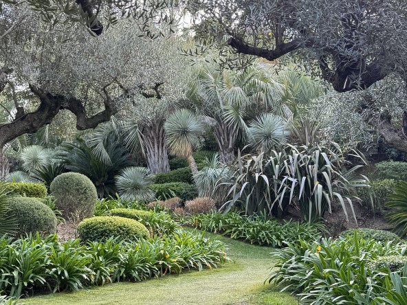 Ambiance jardin (62)