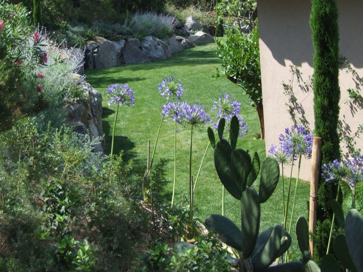 Ambiance jardin (8)