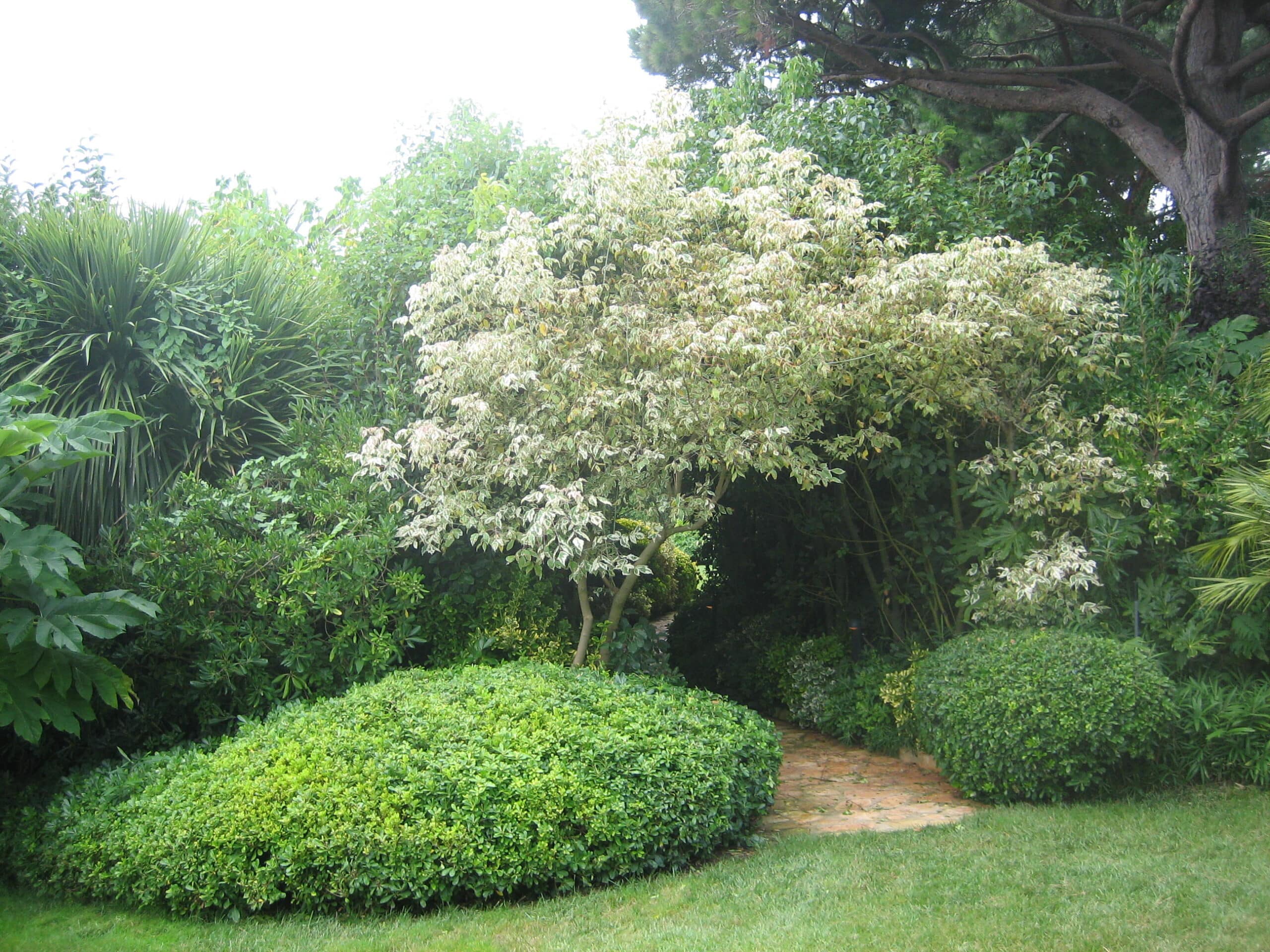 Ambiance jardin (9)